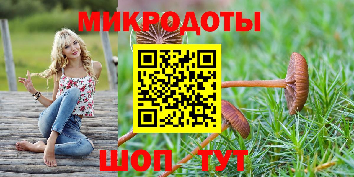 Псилоцибиновые грибы мицелий Норильск